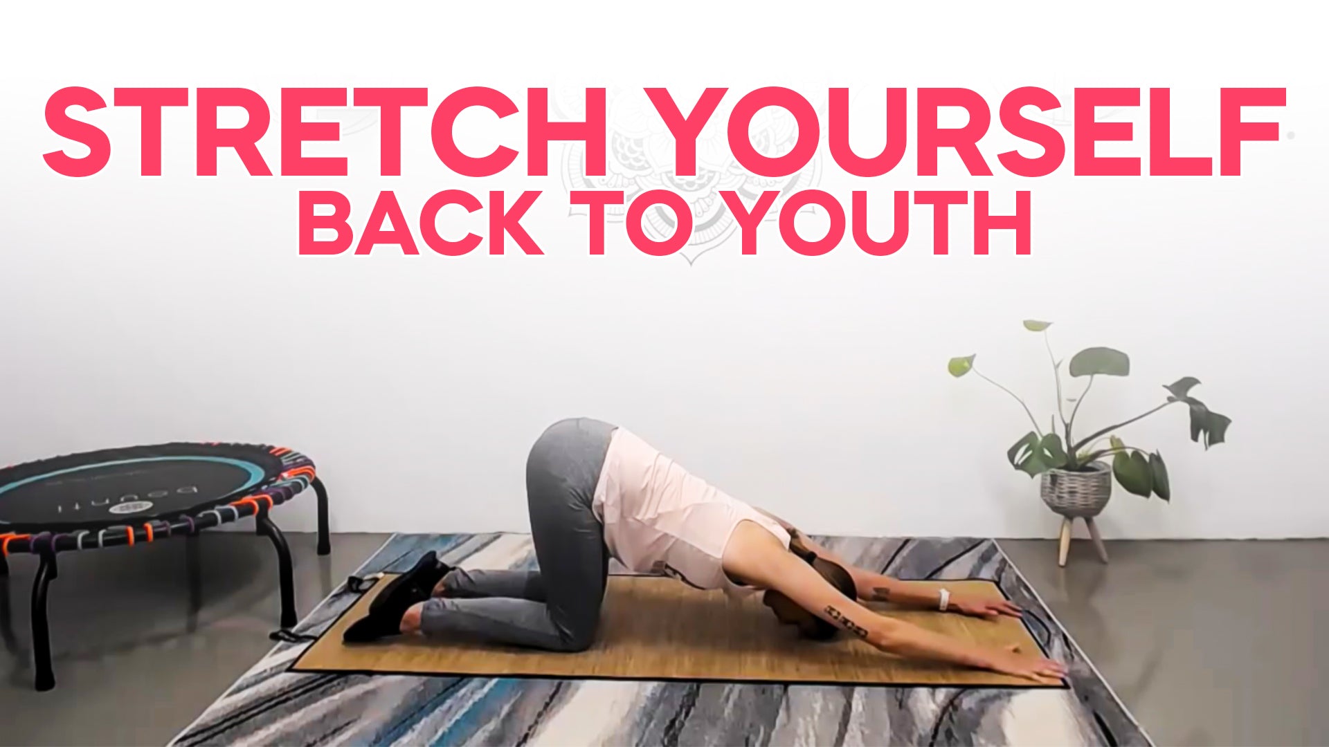 20 Min Full Body Stretch | Daily Routine for Flexibility & Mobility