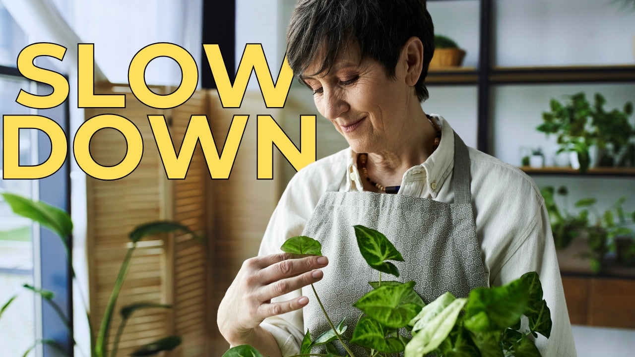 Why You Need to Slow Down Before Life Passes You By | The Recipe Box Parable